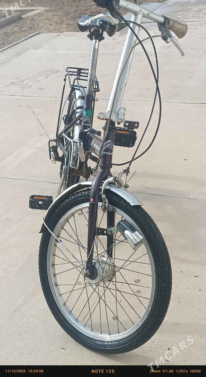 KAMA WELIK - Sakarçäge - img 1