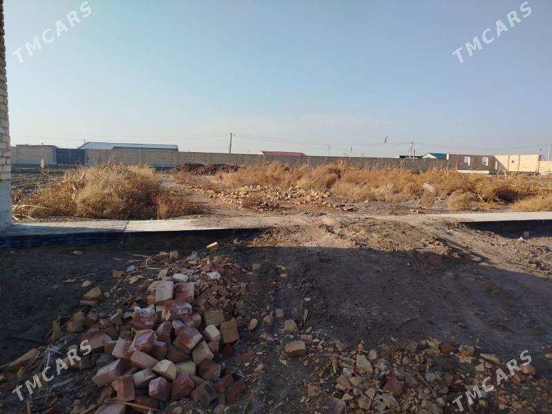 Daca Zaton - Türkmenabat - img 1