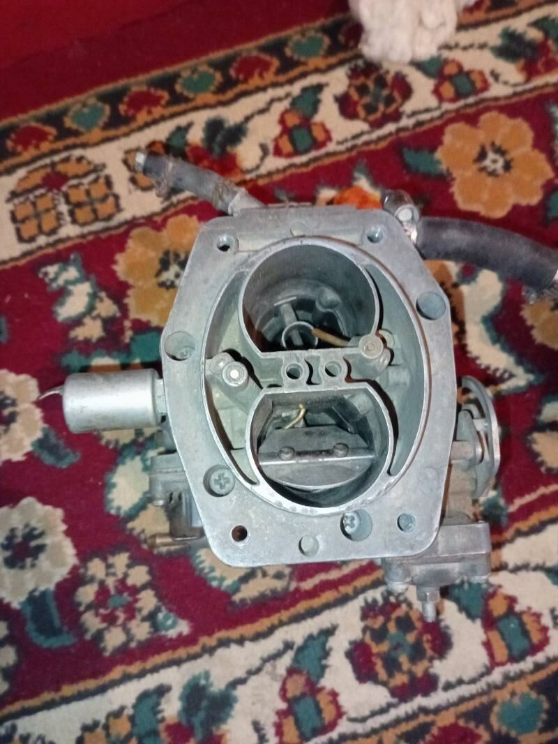 karbyratyr 600 TMT - Sakarçäge - img 1