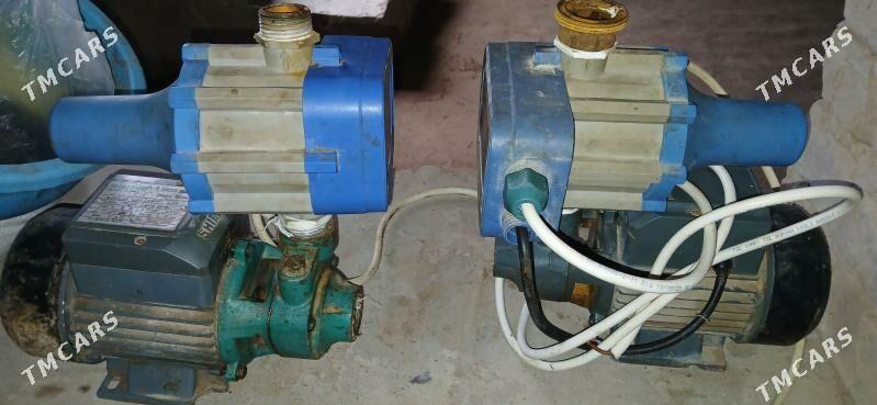 Shimka nasos - Гурбансолтан Едже - img 1