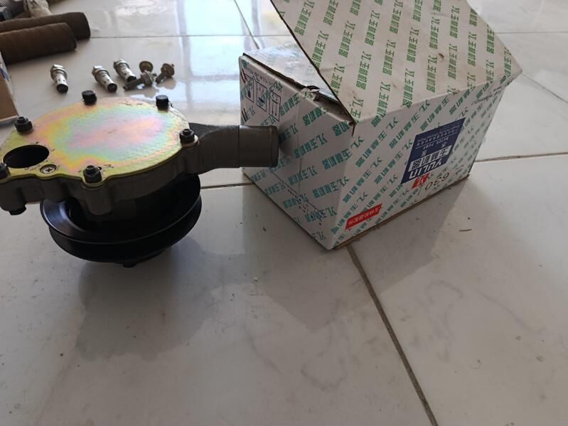 pompo 1 500 TMT - Mary - img 1