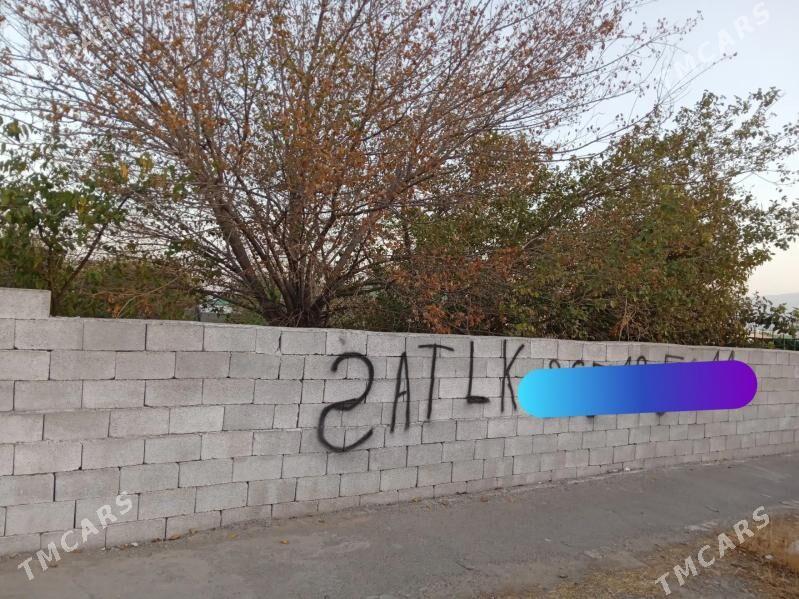 Akdasayak mellek - Büzmeýin - img 1