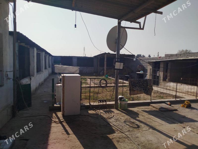 mellek ýer jaýy bilen - Ak bugdaý etraby - img 1