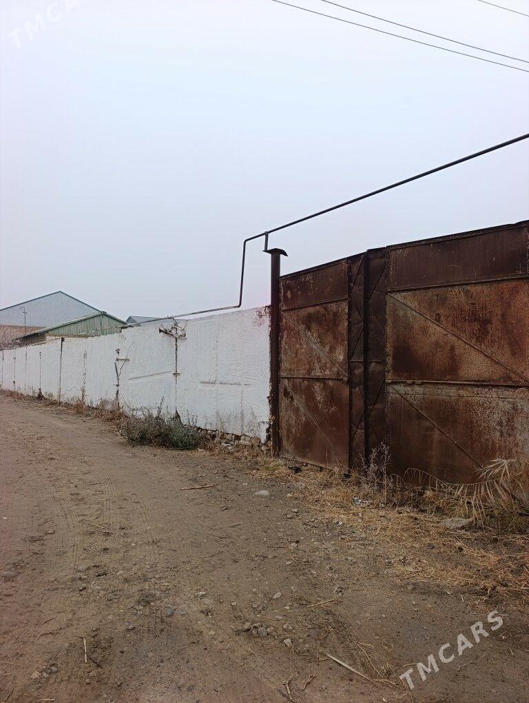 Satlyk Aeroport Daca - Türkmenabat - img 1