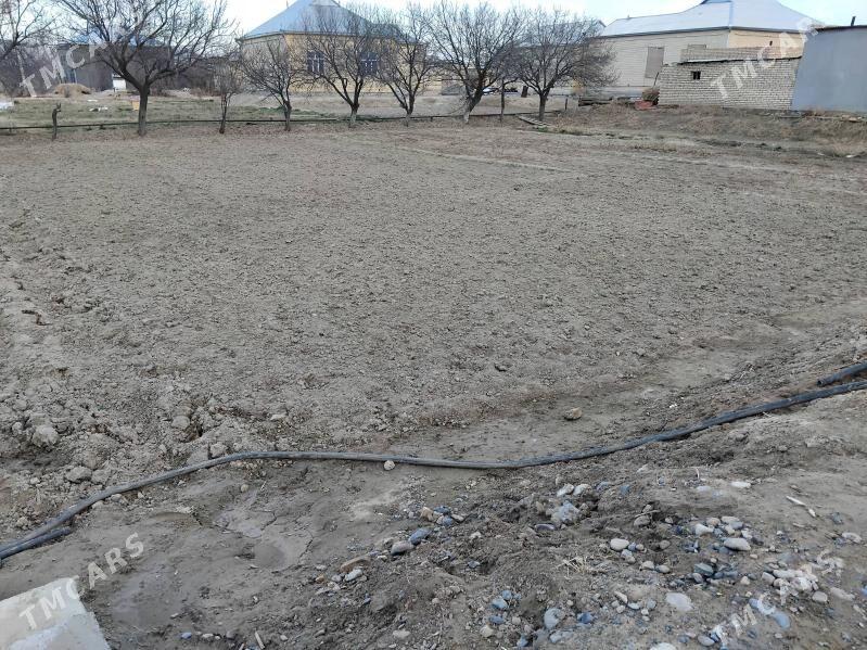 satlyk yerler - Мары - img 1