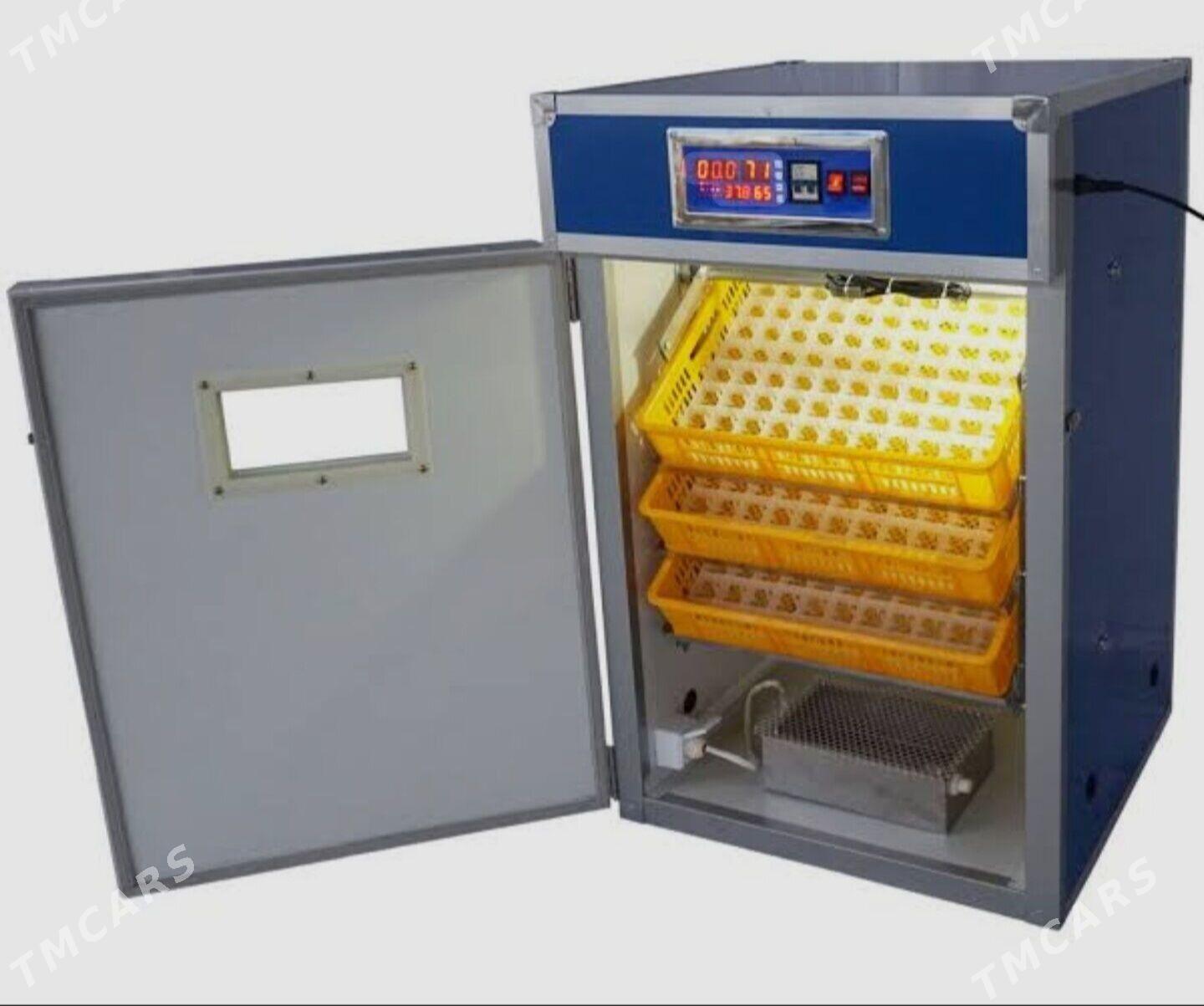 Ishgar gerek - Köneürgenç - img 1