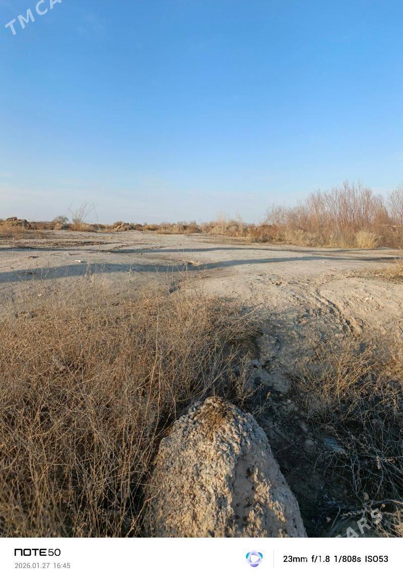 col mellek - Саят - img 1