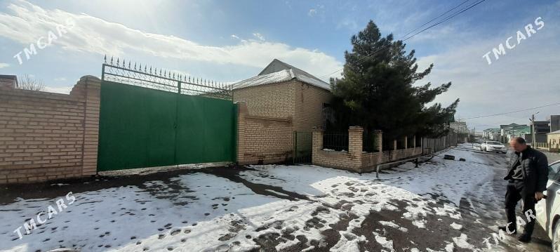 Anew plan jay - Änew - img 1