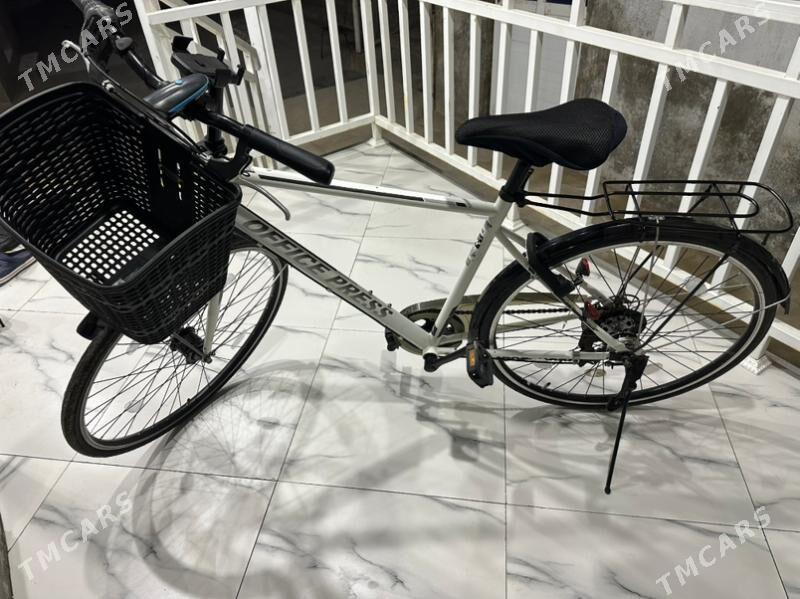 Tigir - Mary - img 1