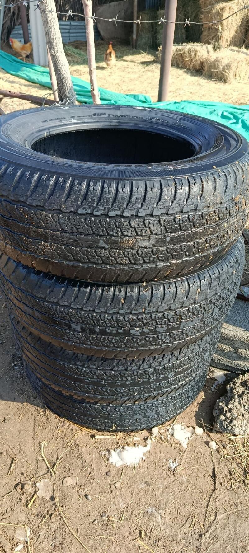 teker 265 65 17t 250 TMT - Ашхабад - img 1
