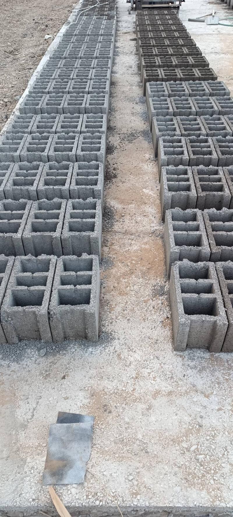 BITON KERPIÇ - Murgap - img 1