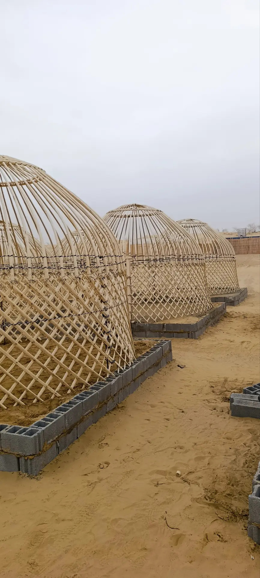 Ak gara òý gamyş - Änew - img 1