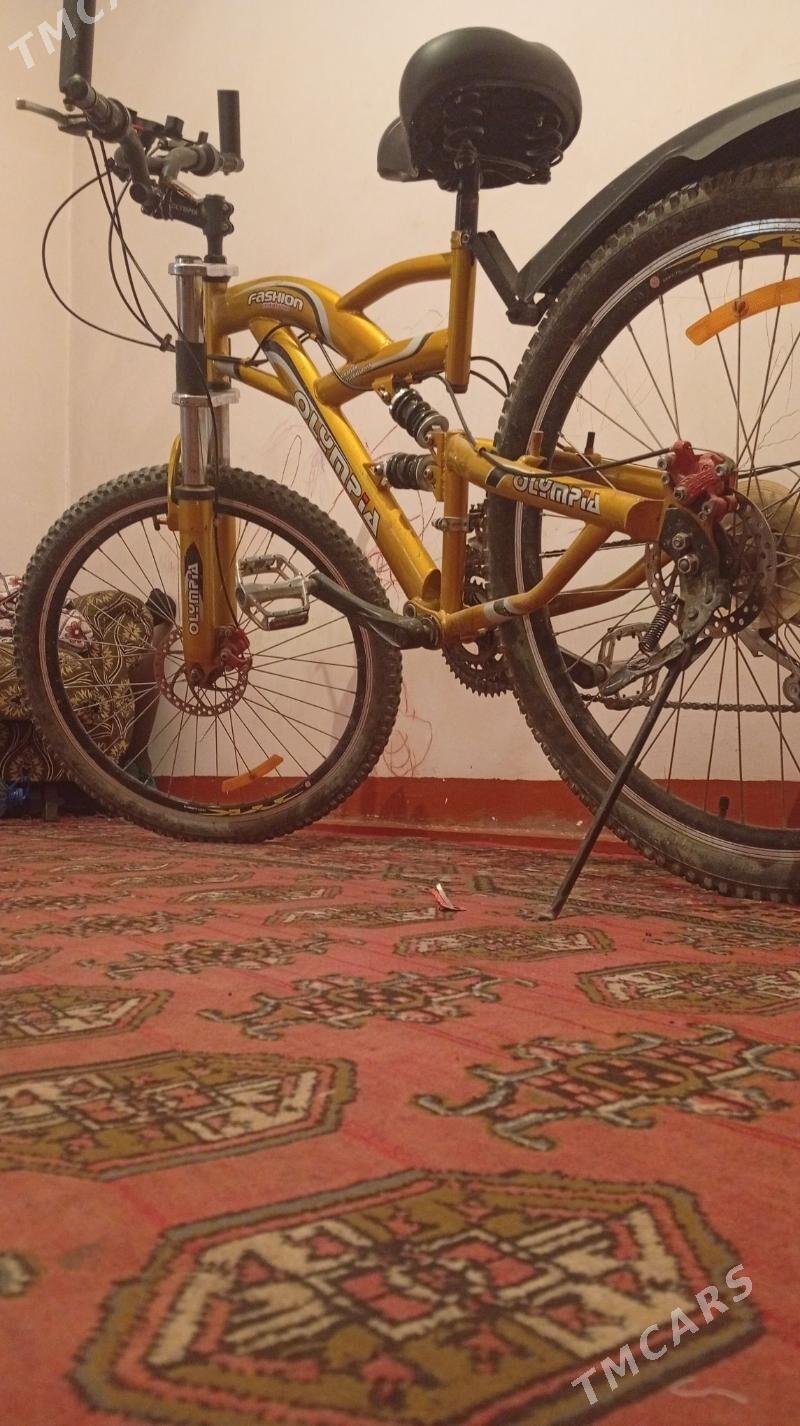 tigir - Murgap - img 1