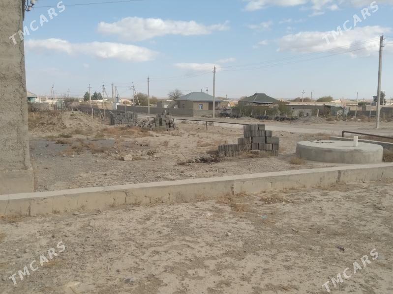 Mellek ýer - Bäherden - img 1