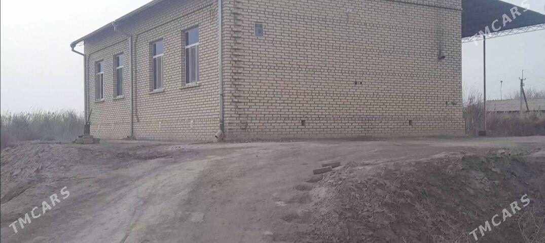 Kerki şäher - Керки - img 1