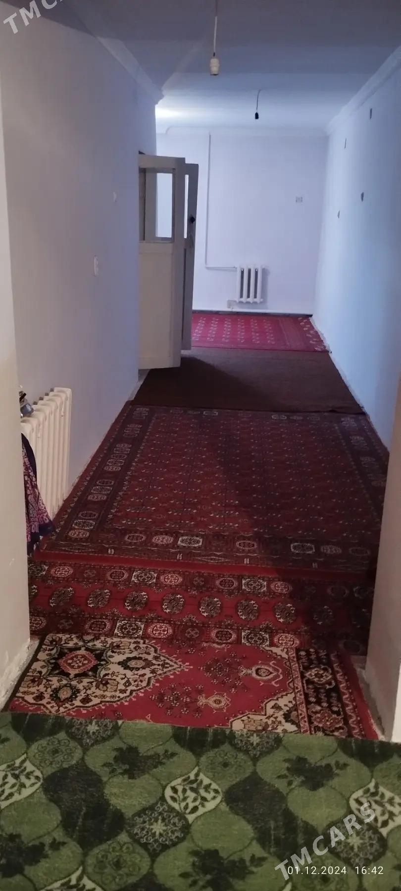 jay - Murgap - img 1