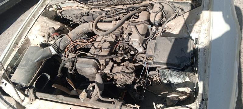 Mator 10 000 TMT - Mary - img 1