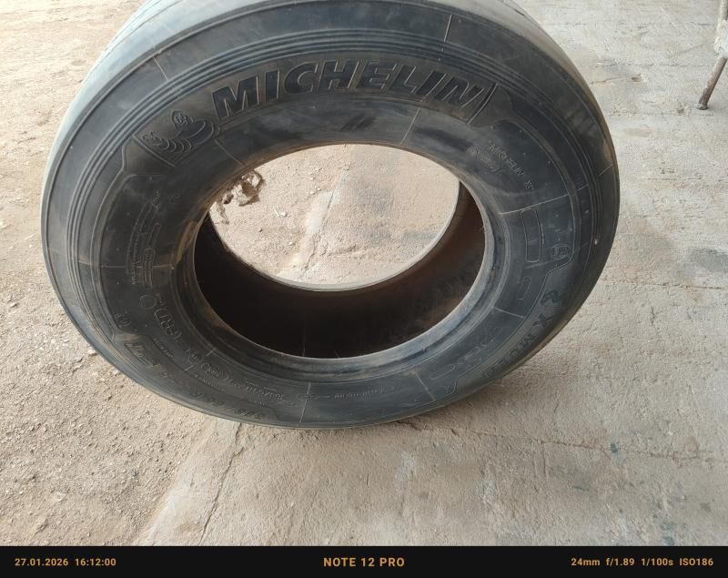 Teker aýak 250 TMT - Гумдаг - img 1