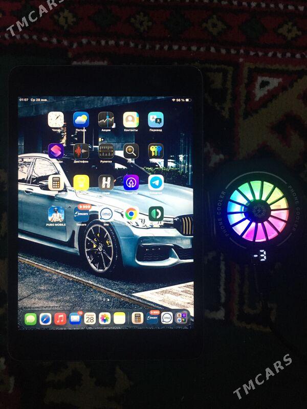 IPad mini 5 - Койтендаг - img 1