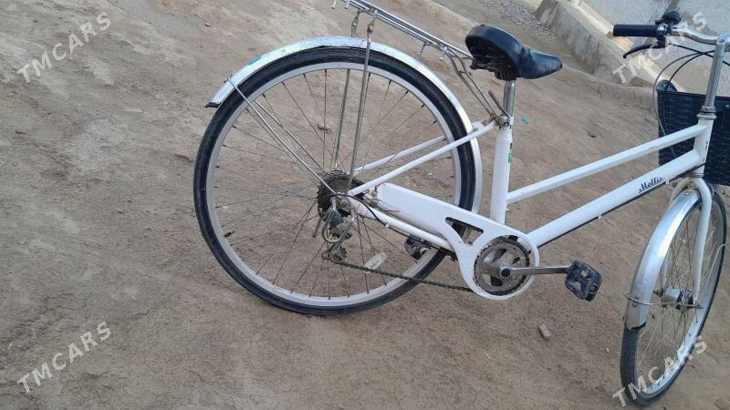 Welsepet - Sakarçäge - img 1