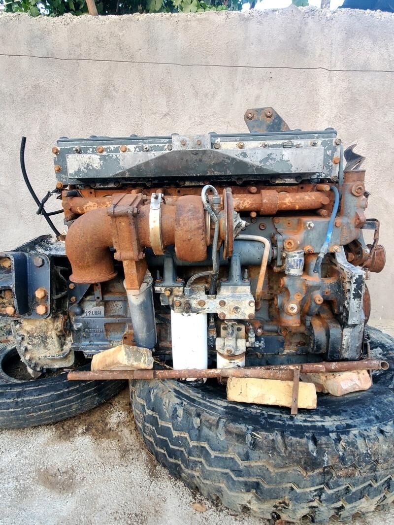 Mator 50 000 TMT - Bagyr - img 1