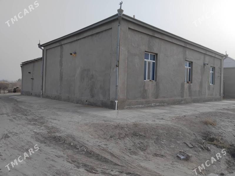 satlyk jay - Ýolöten - img 1