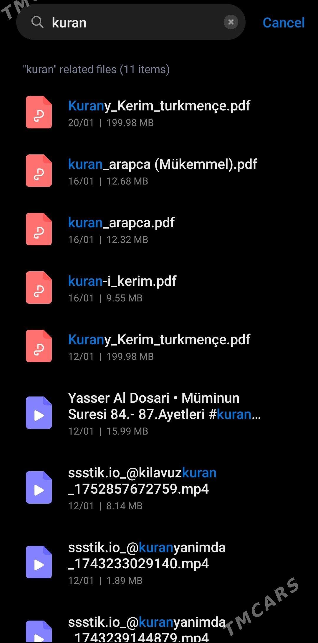 Türkmençe Kuran .pdf - Bereket - img 1