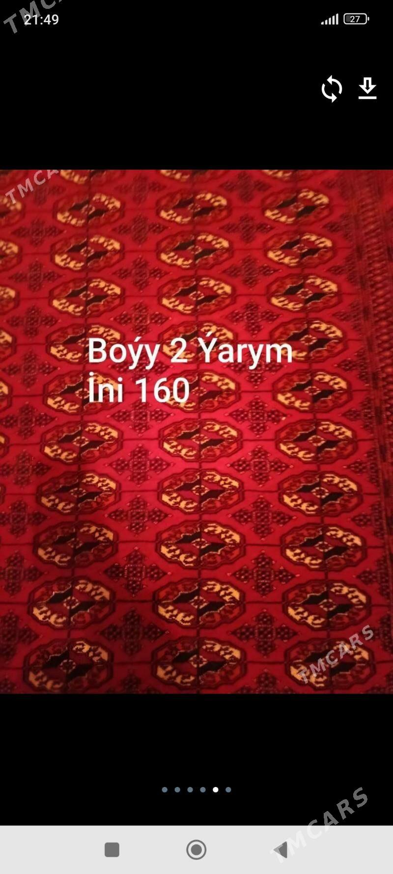 Türkmen haly - Murgap - img 1