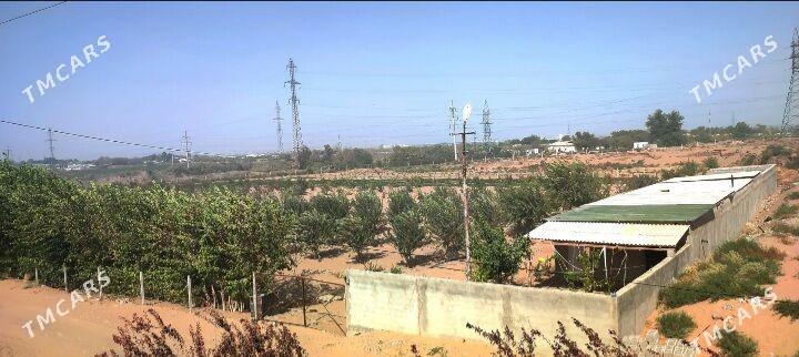 Anew Onumcilik yer GYSSAGLY - Ашхабад - img 1