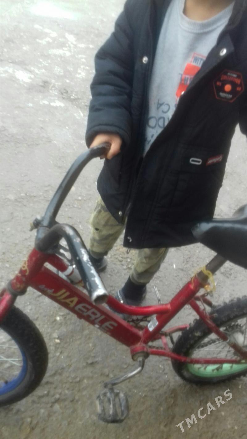 tigir - Bagyr - img 1