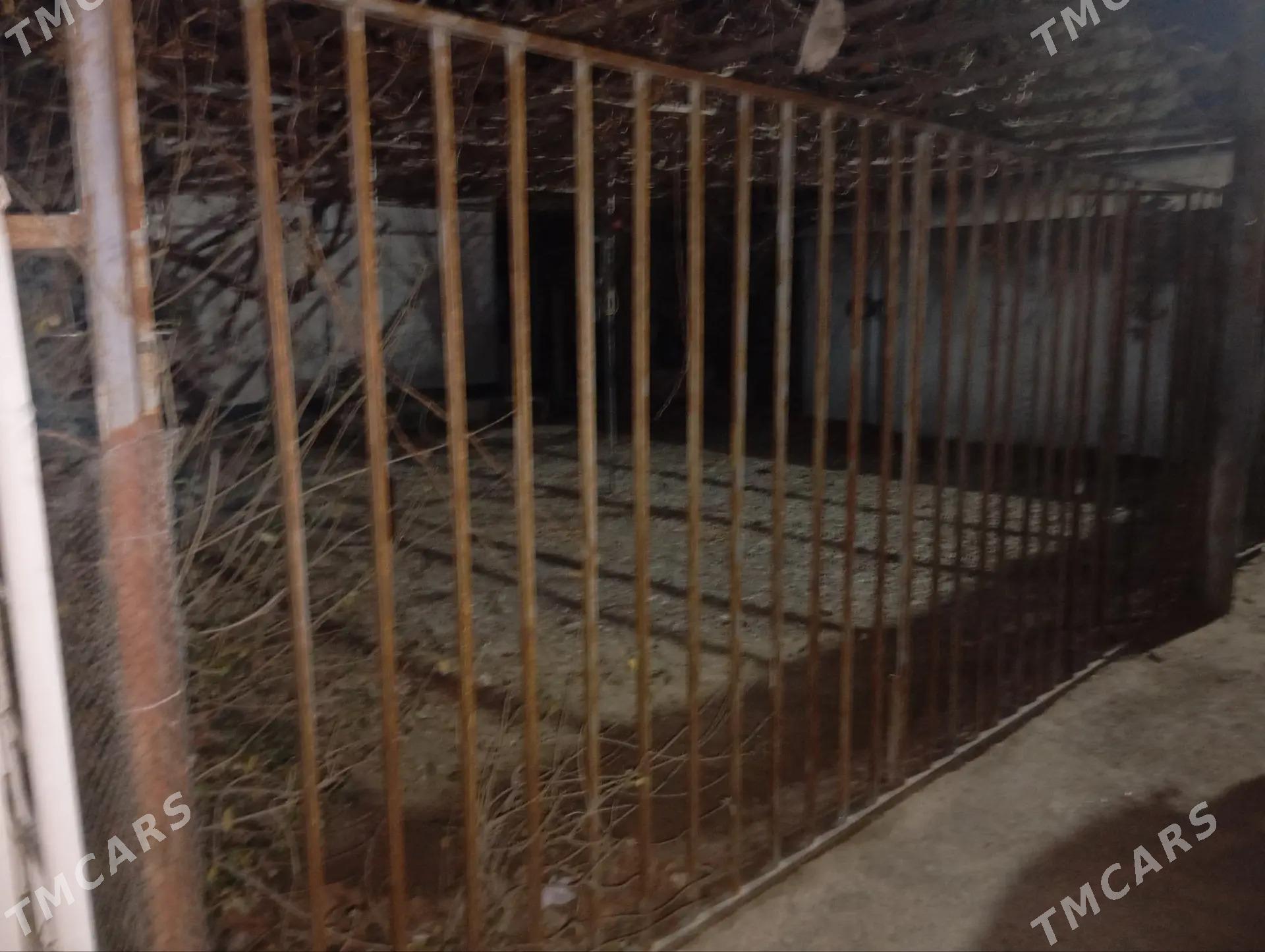 Satlyk jaỳ - Mary - img 1