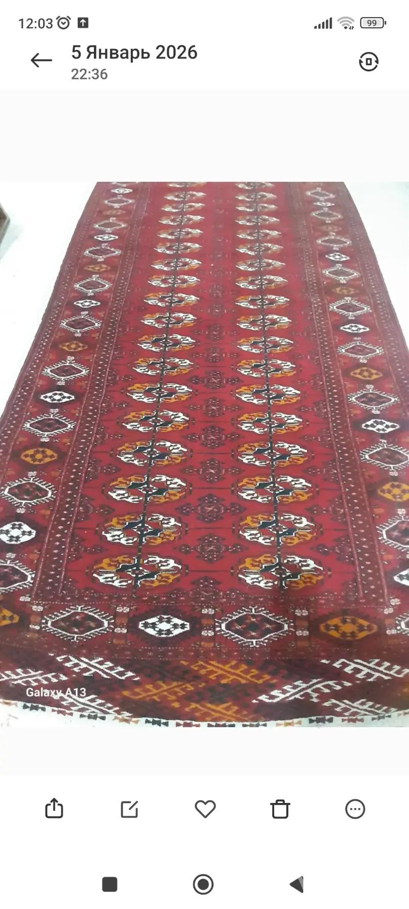 El haly 1.20/5 - Бахарден - img 1