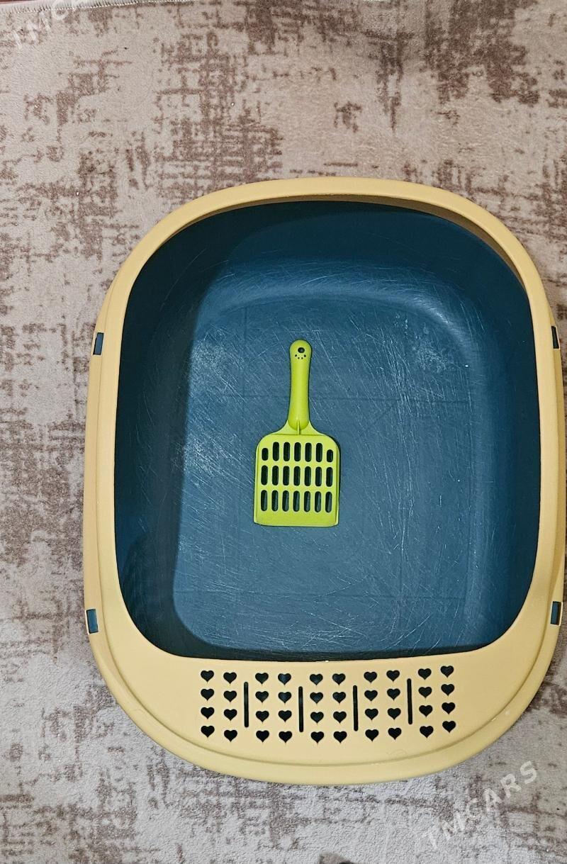 Кошачий лоток - Ашхабад - img 1