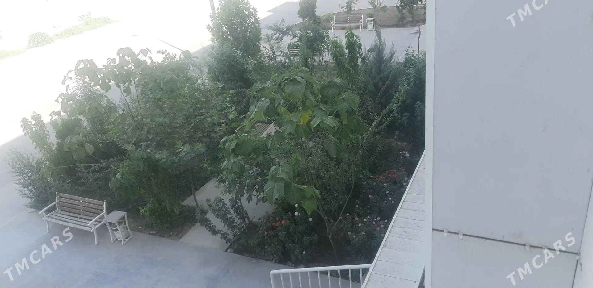 Taze Gurtly 4 kom - Гуртли - img 1