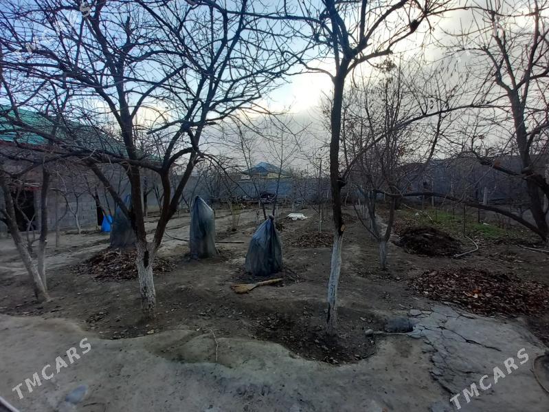 Bagyr eyesinden - Bagyr - img 1