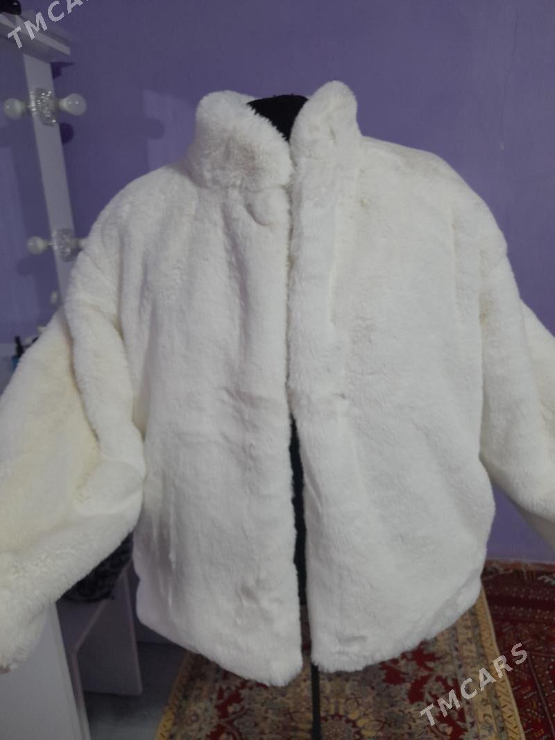 şuba - Gumdag - img 1