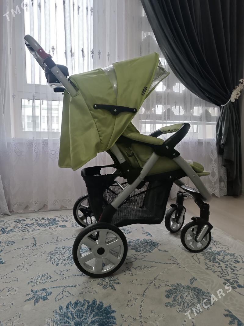 kalyaska - Köşi - img 1