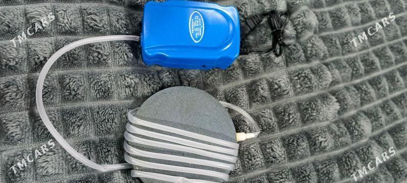 воздух для рыб - Туркменабат - img 1