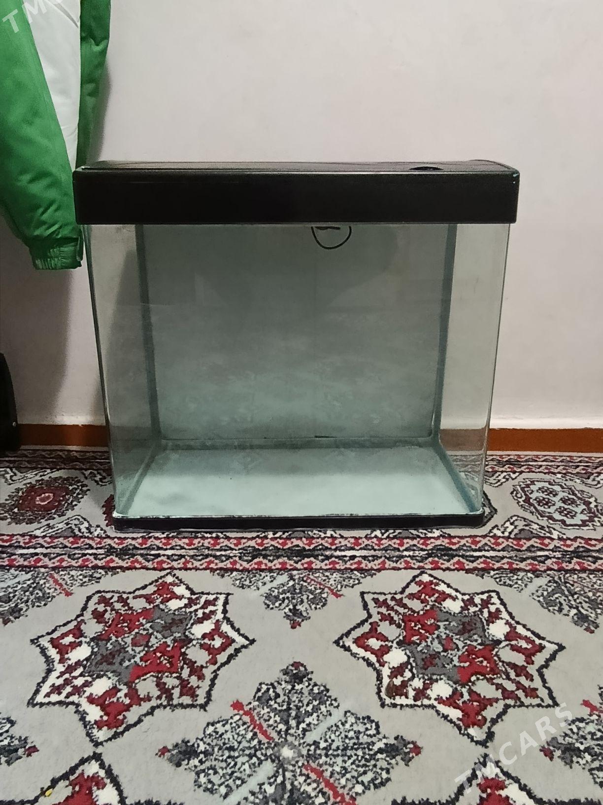 Akwarum - Aşgabat - img 1