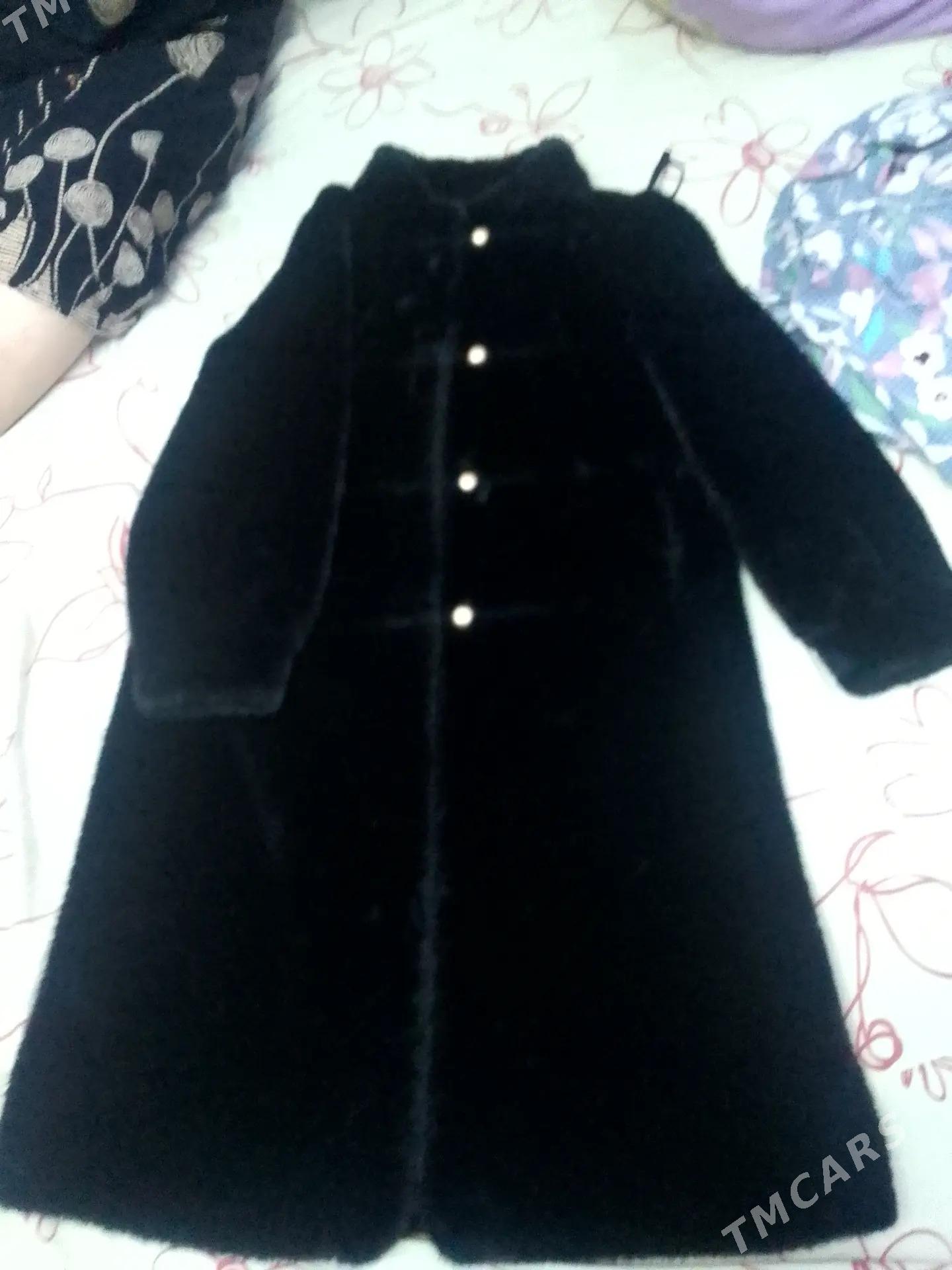 shuba palto - Daşoguz - img 1