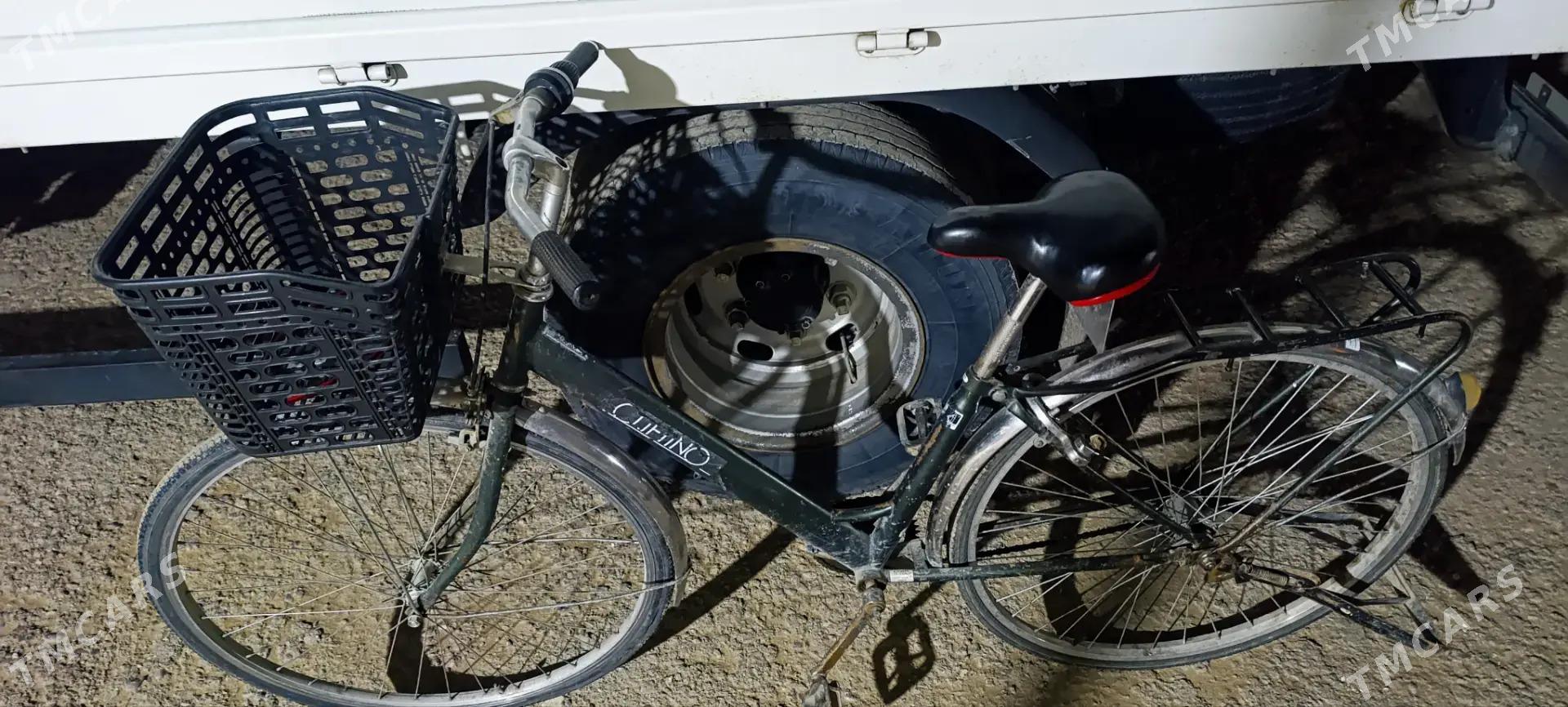 tigir - Гарадамак - img 1