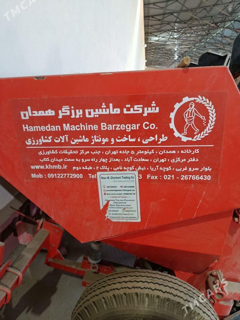 Yeralma (kartoşka) ekyan - Туркменабат - img 1