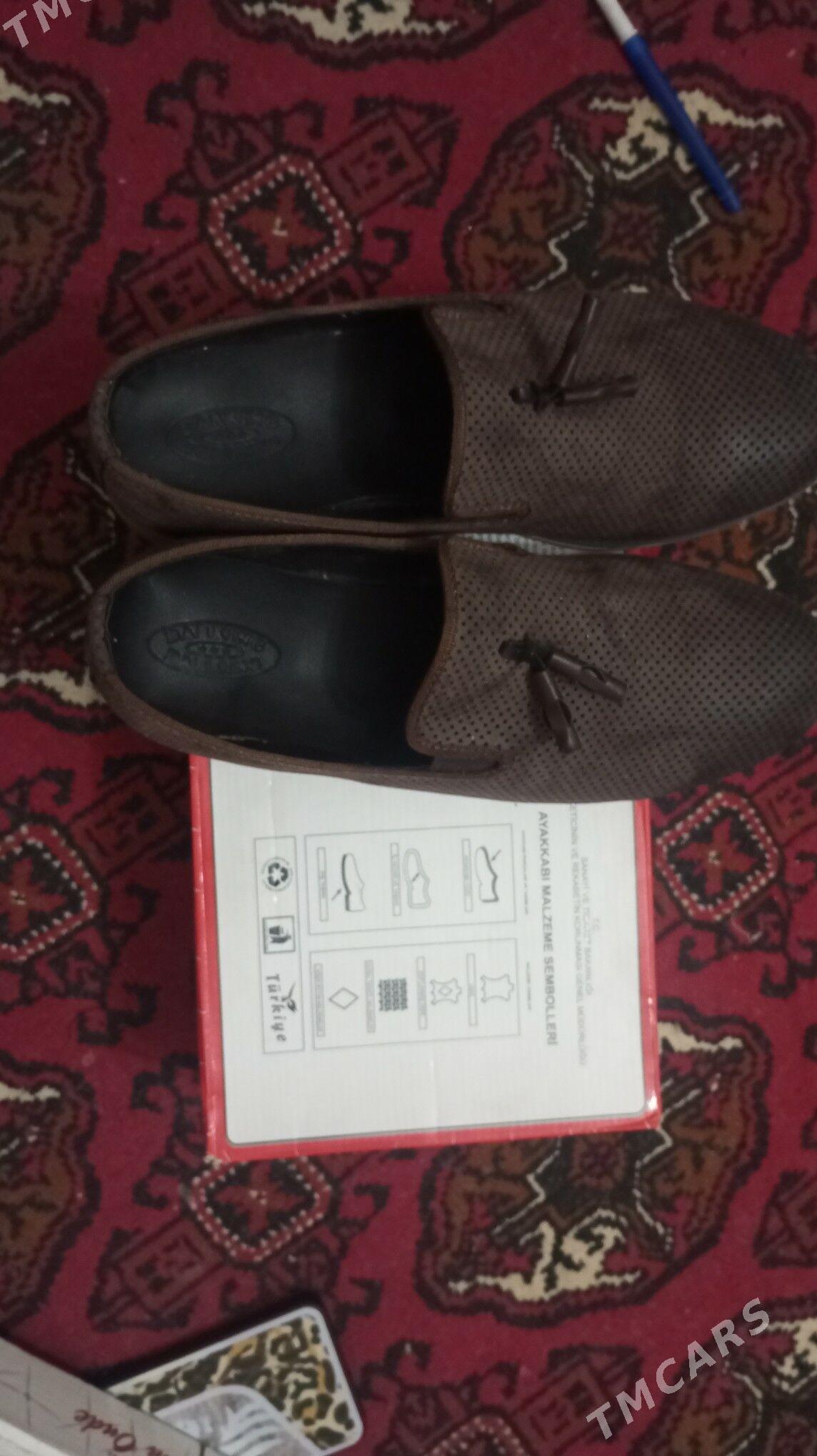 Bu Falcon - Türkmenabat - img 1