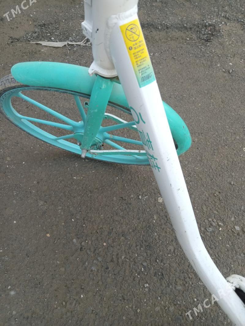 yaponski tigir - Aşgabat - img 1