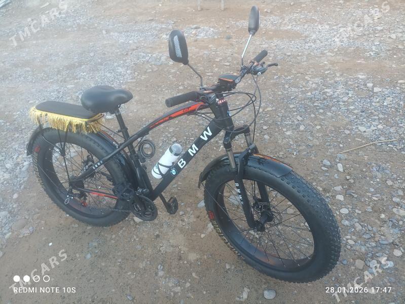 N 26 YOGYN TIGER - Мары - img 1