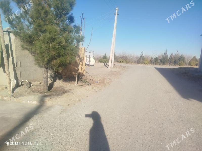 Bagyr - Ашхабад - img 1