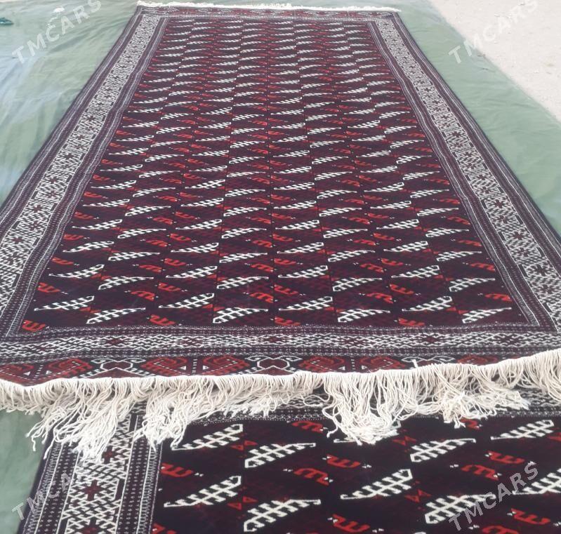 El haly - Jebel - img 1