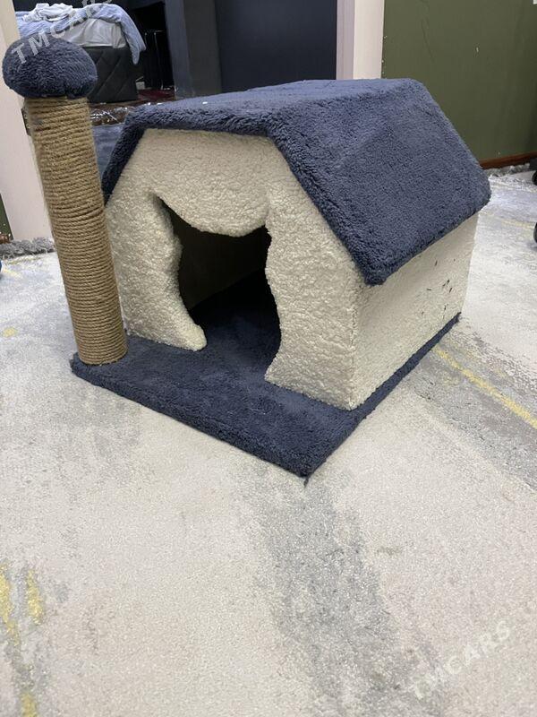 pisik oyi - Ашхабад - img 1