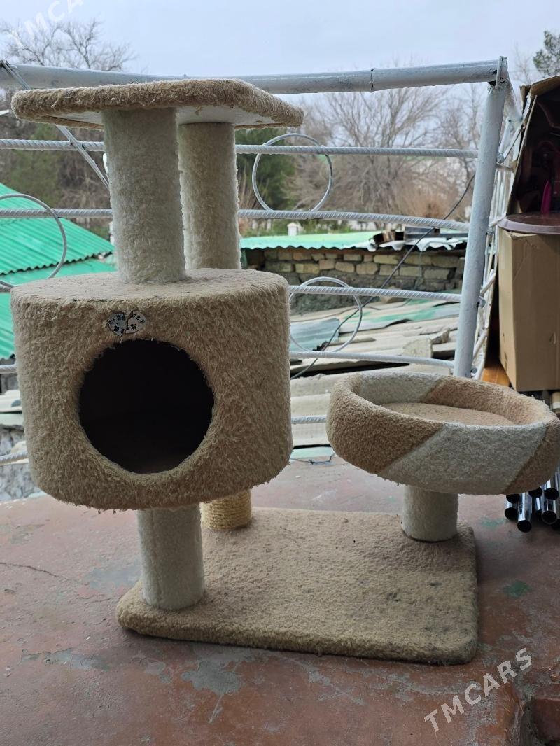 pisik ucin oy - Хитровка - img 1