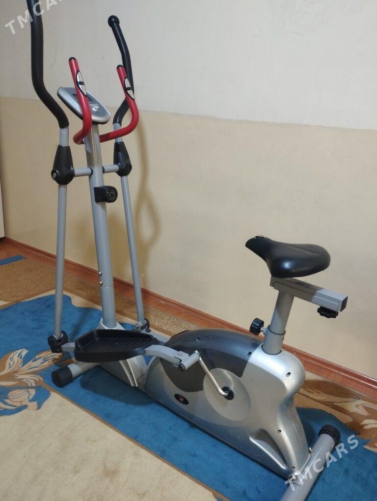 trnažorny lyža tigir - Büzmeýin - img 1